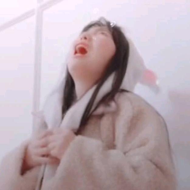 冯宝宝