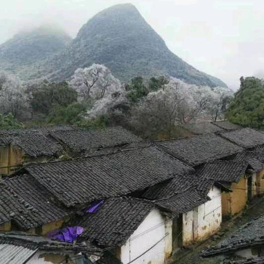 阖家兴旺