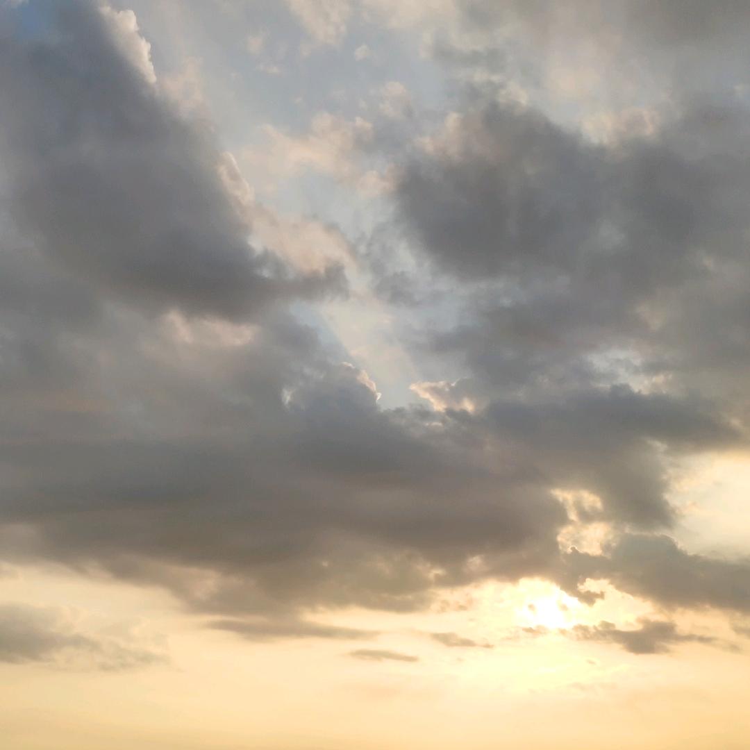 自由潇洒的钓鱼佬