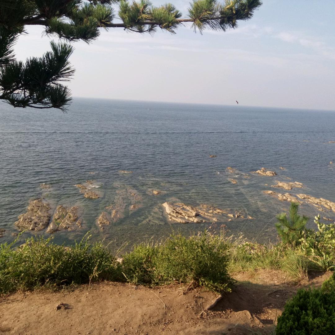 彩云飘飘
