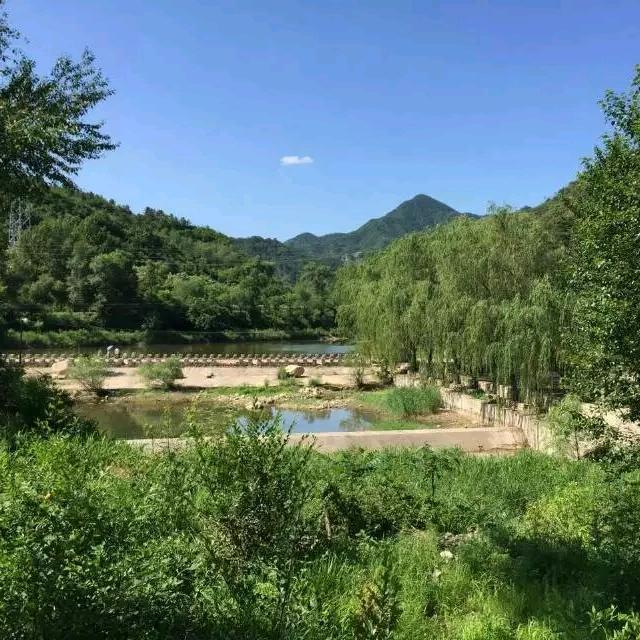 丝丝幽香