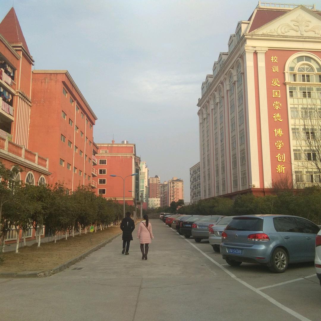 晴天。
