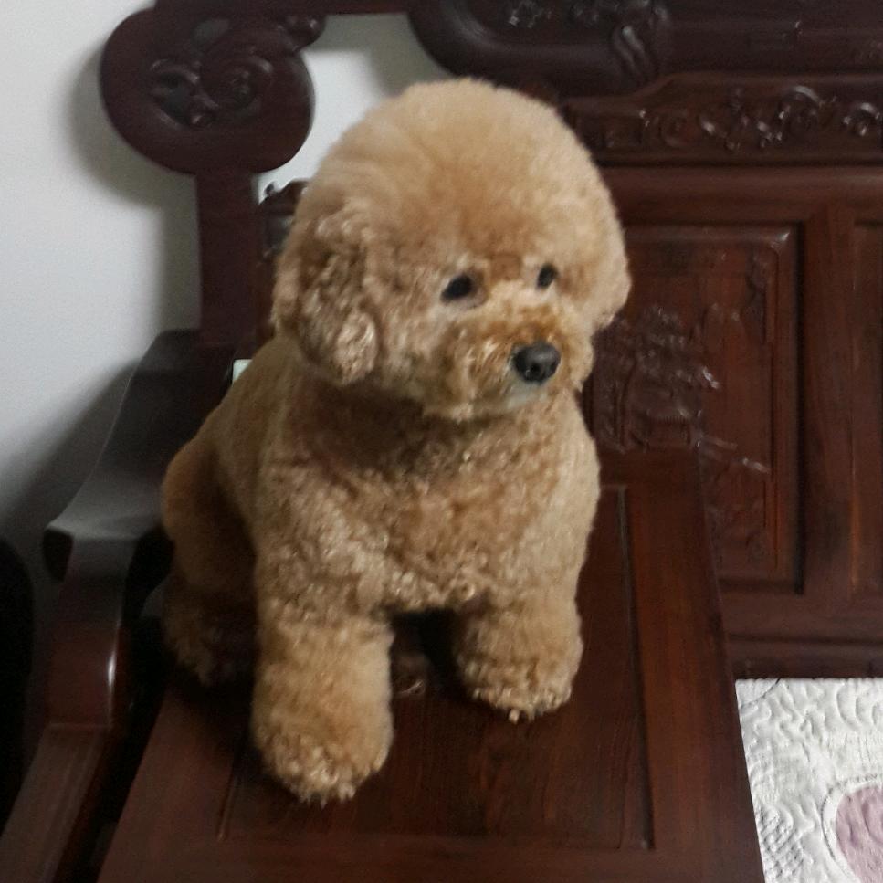 天一