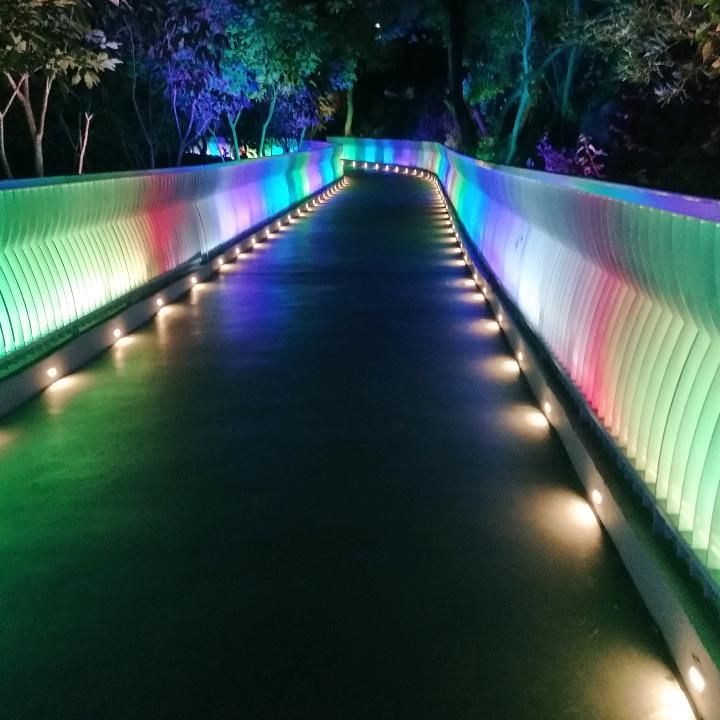 用心去爱你你不懂