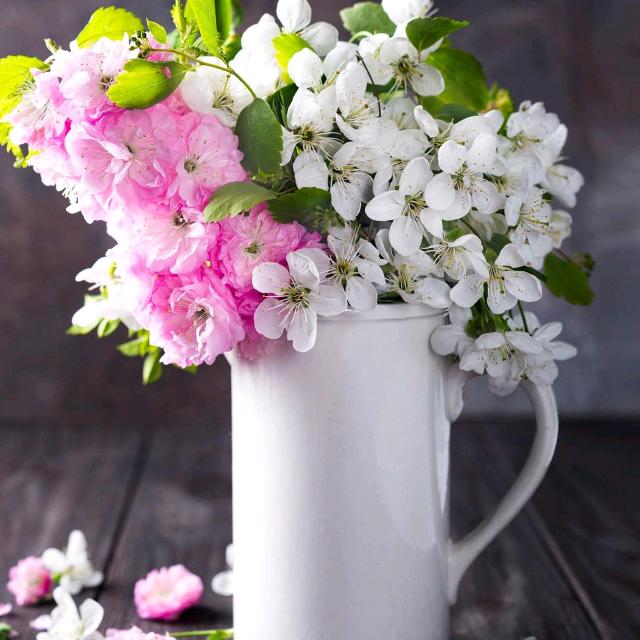 票票（拒私聊）