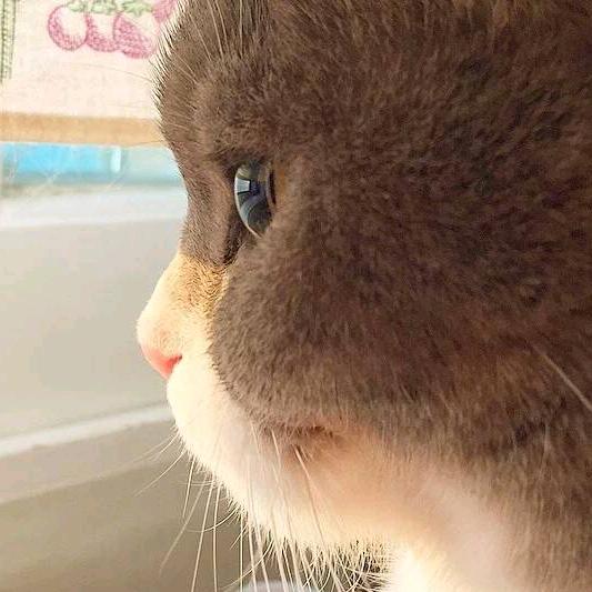 乾坤圈和混天绫