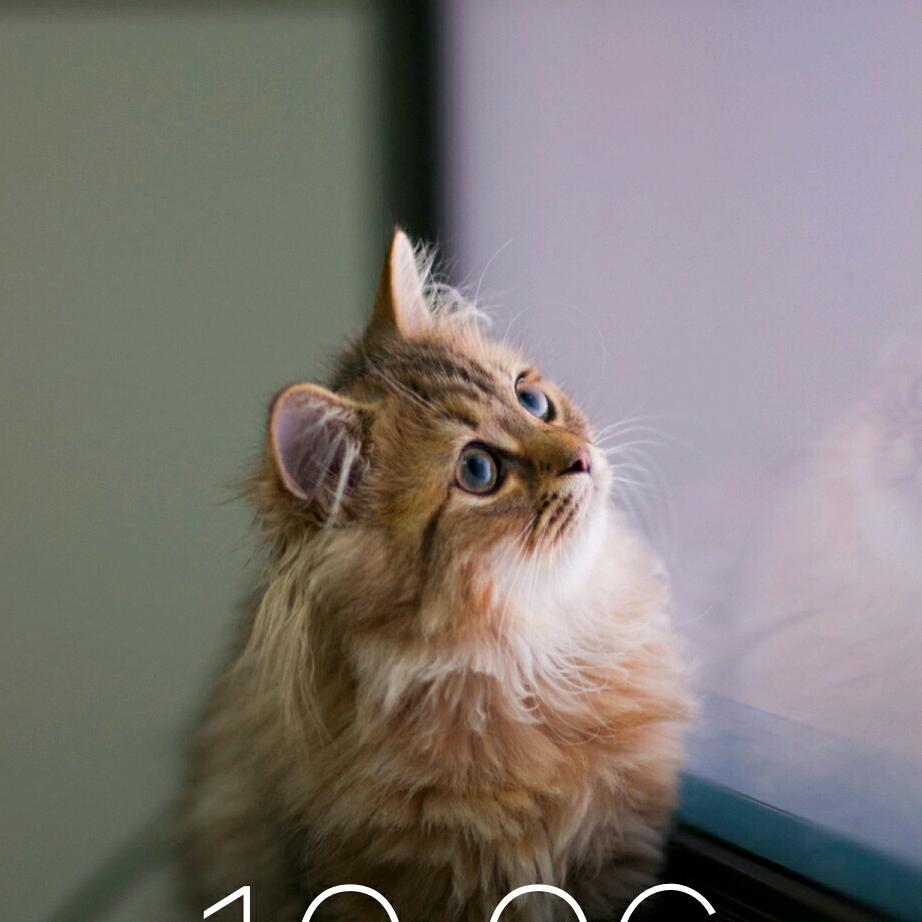 用户491605672739吻的感觉