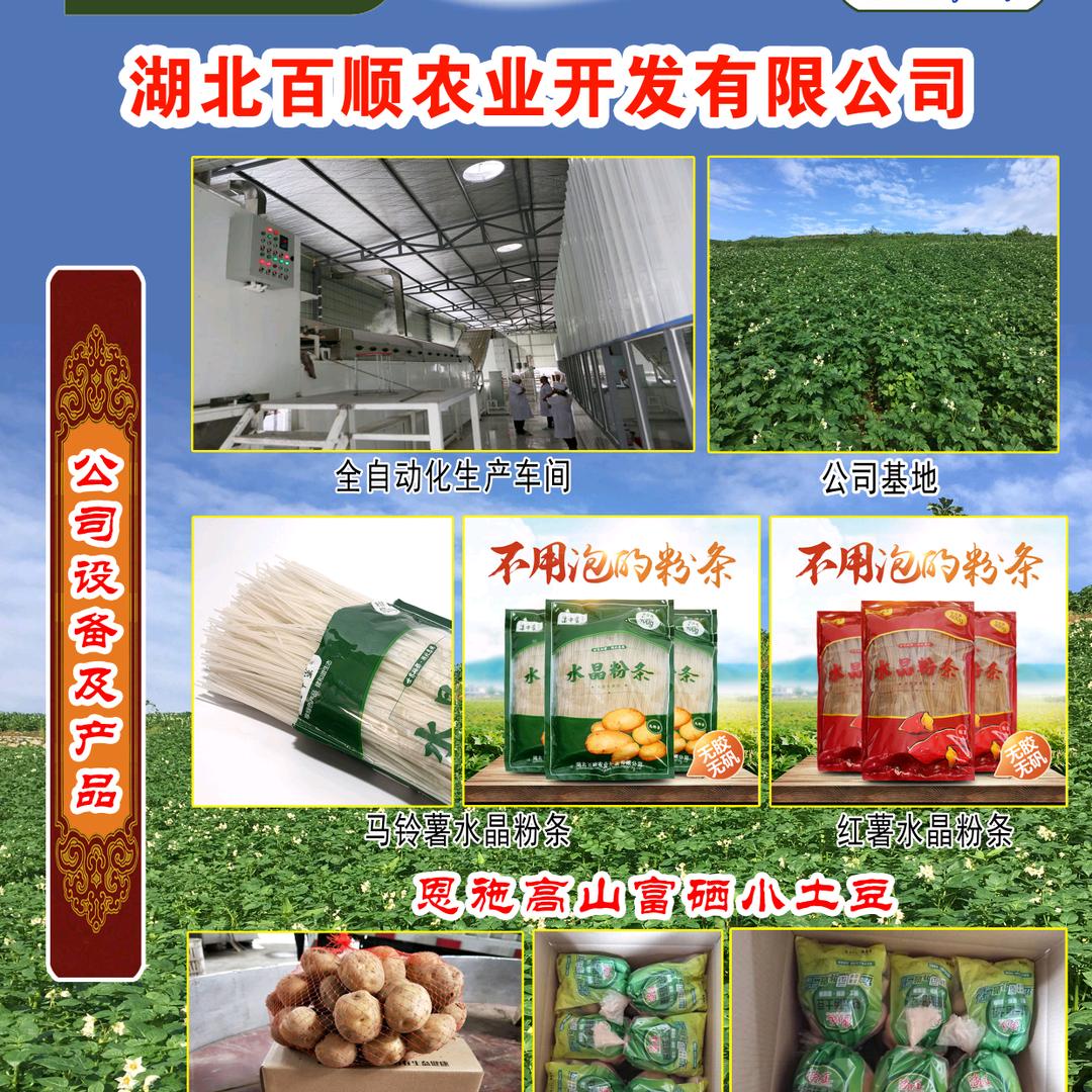 湖北百顺农业开发有限公司