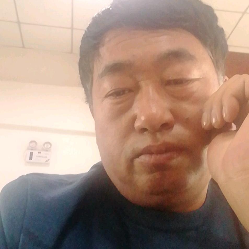 西谷庄林下奔跑的鸡