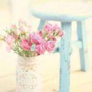 love一fan：