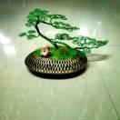 ᥫ᭡ᩚ鹏哥᭄ꦾ工艺ꦼ品ꦿ୫꧒