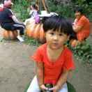 贾村新合作大姐√