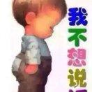 雷诺小胖哥