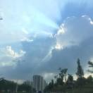 首杨水果（富水北路店）