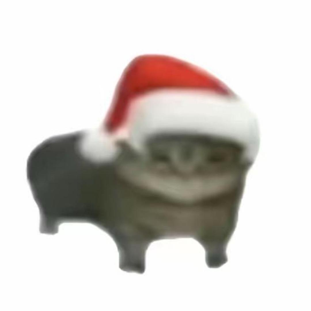 ………….