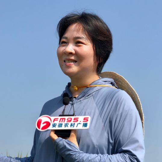 张玲聊农业