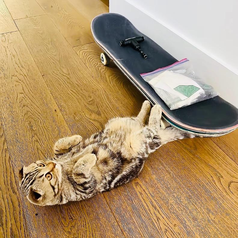 Nyjah