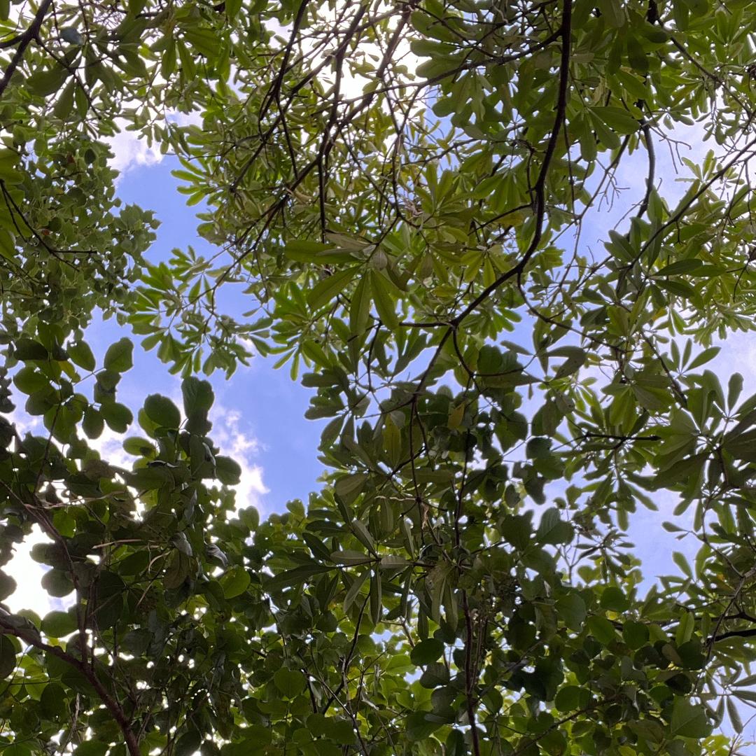 李某东无R直播-维权