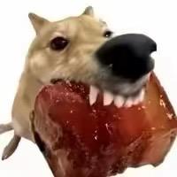 铁锅盖你头上🤯