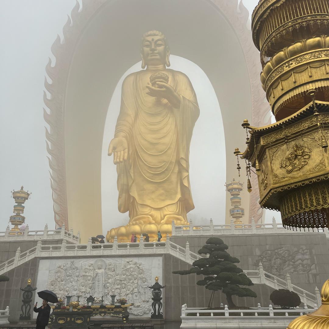 开心每一天！