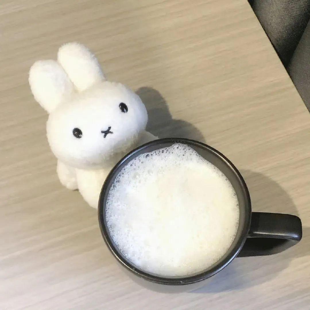 int.（fans努力订台版）