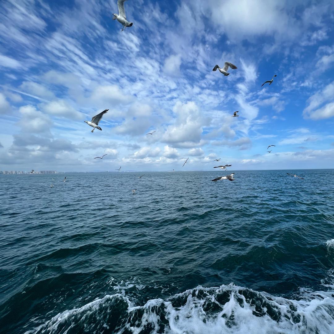 不李解的收表旅程(上海名表回收)