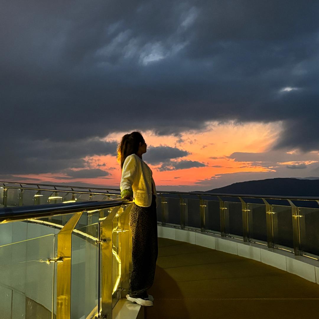 山茶花开在年糕里