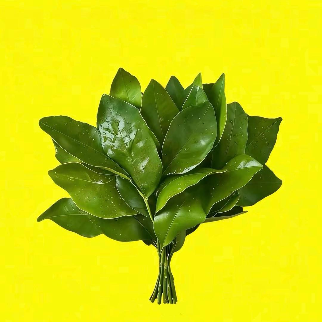 ww在吗