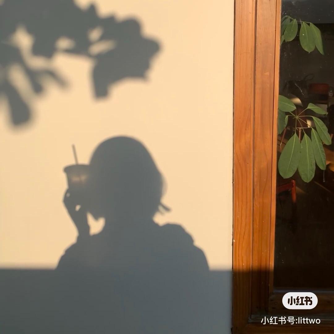 春来秋往山海见