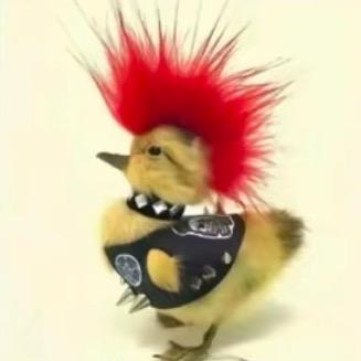 快把电弧星都喂给我吧