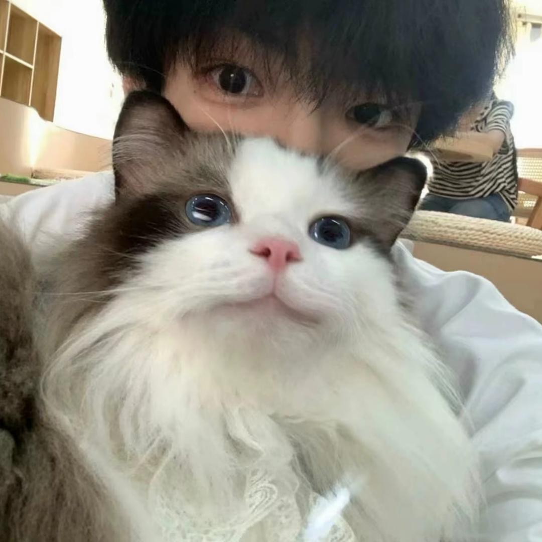 宁