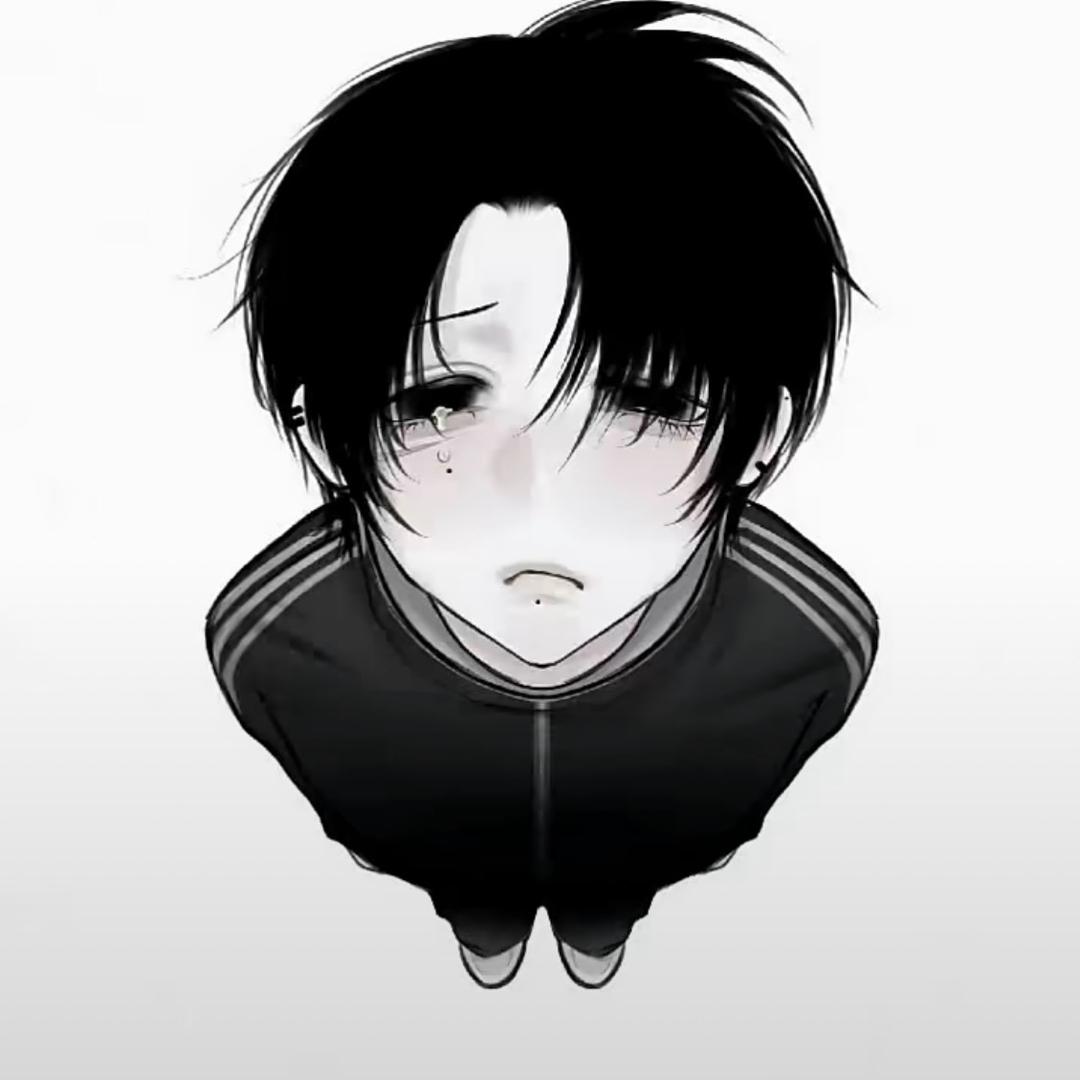双子