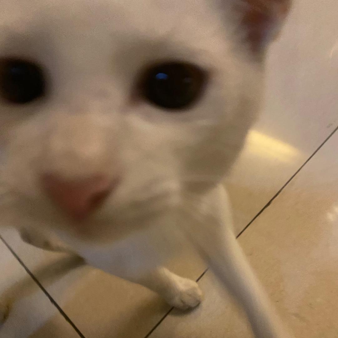 ﷽﷽﷽﷽﷽﷽﷽﷽﷽﷽﷽﷽﷽﷽﷽﷽﷽﷽﷽﷽