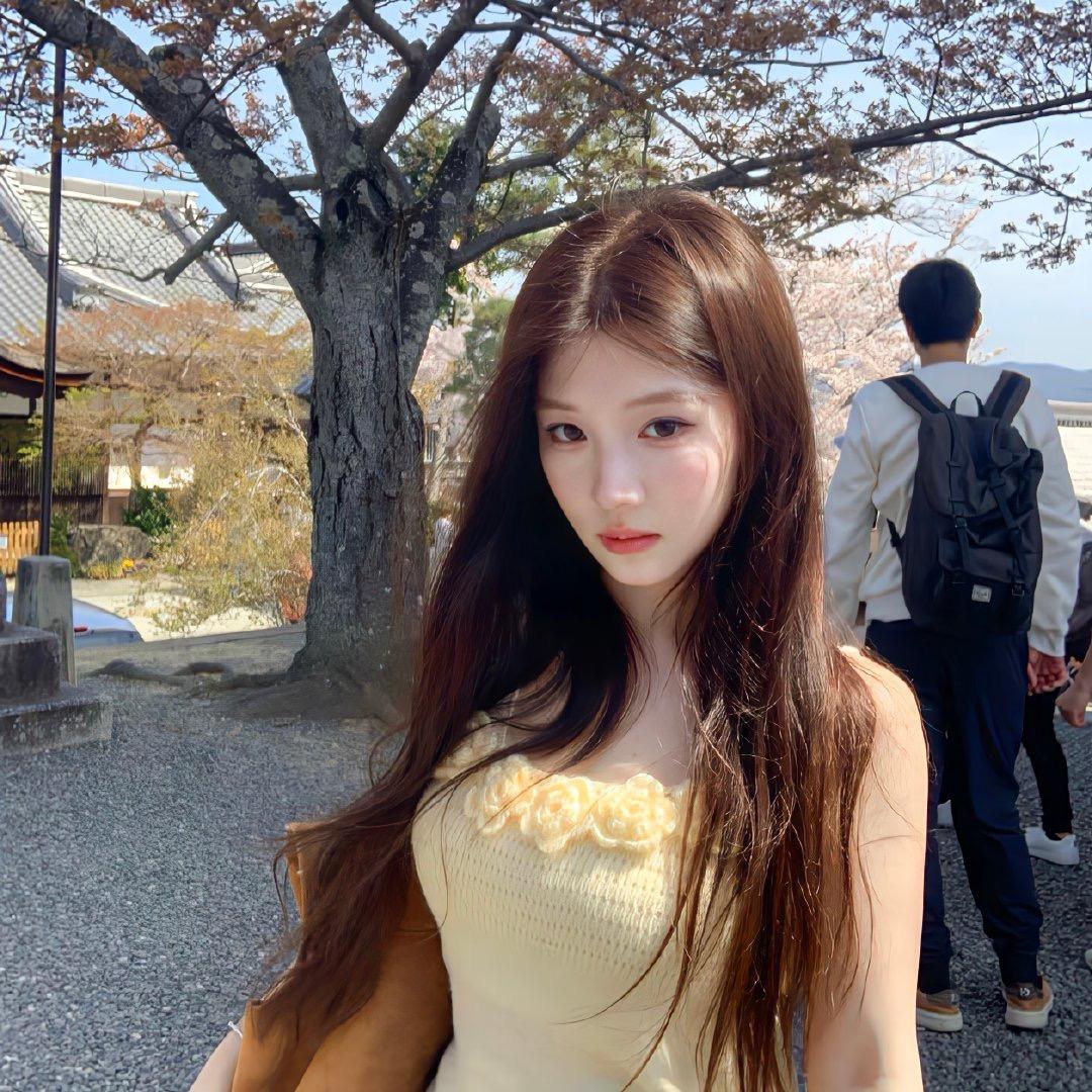 芝士脆脆鲨