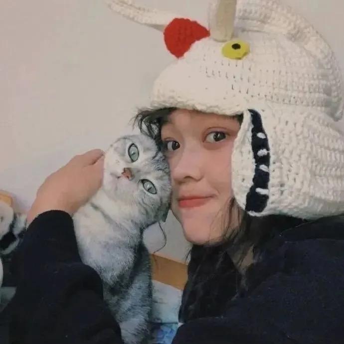 路上偶遇机器喵