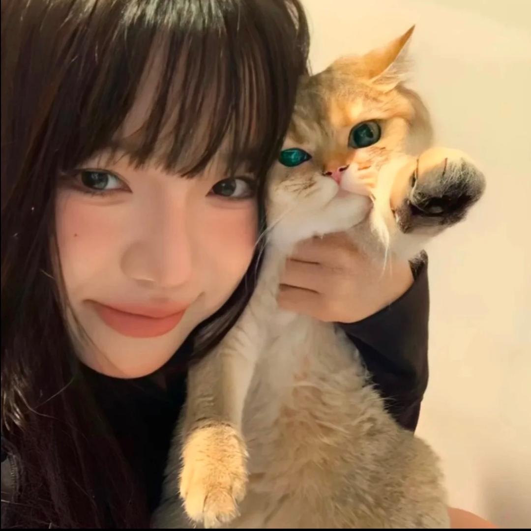 迷梦