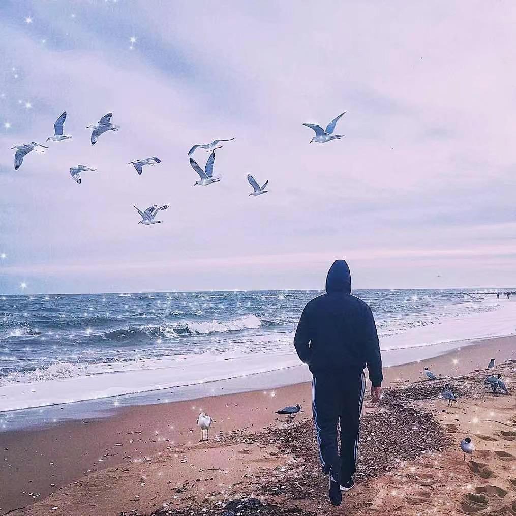 卑微电商人(阿玮)