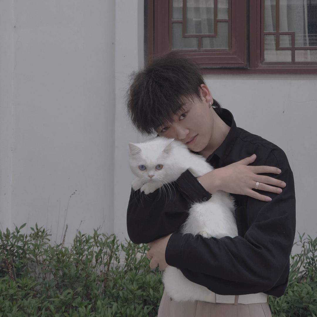 小杨设计日记