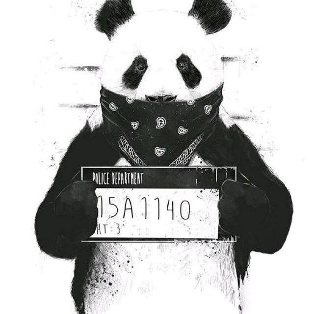 那又怎么样zz