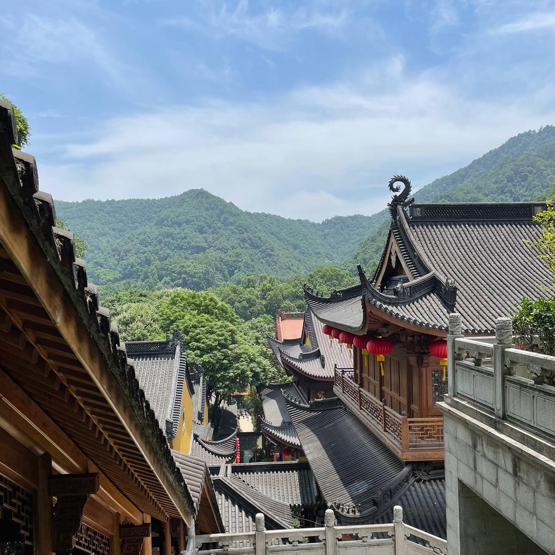 禅心雕龙