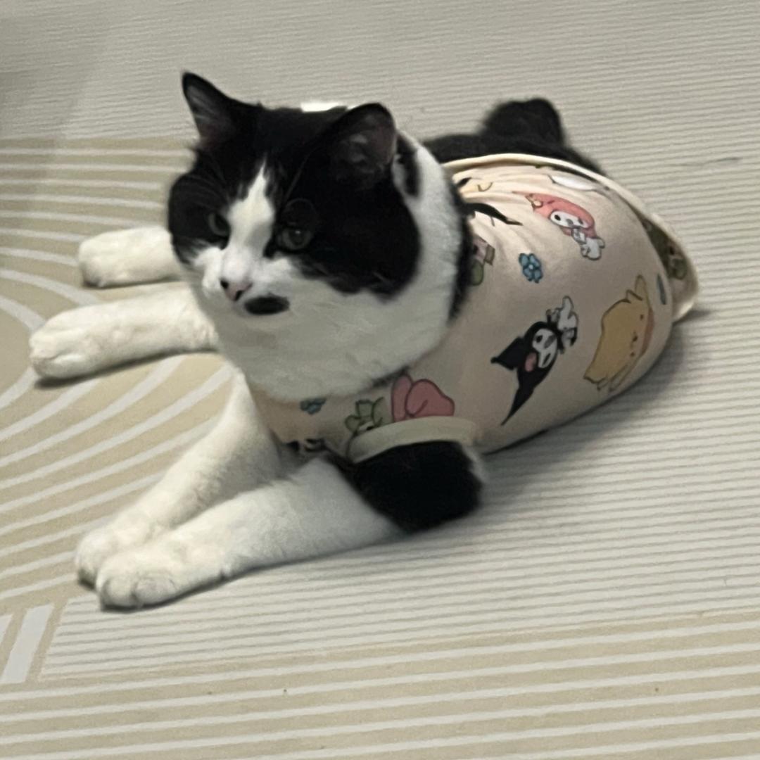 王队长