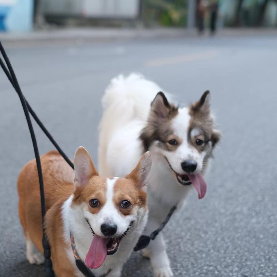 兜兜&花花