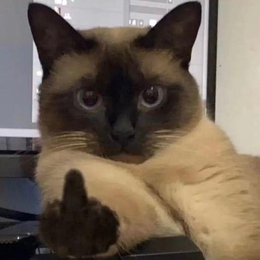Cathhherine