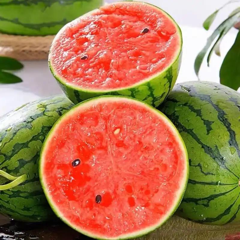 绿科高品质水果源头