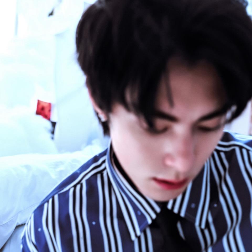 DyLaN_x^