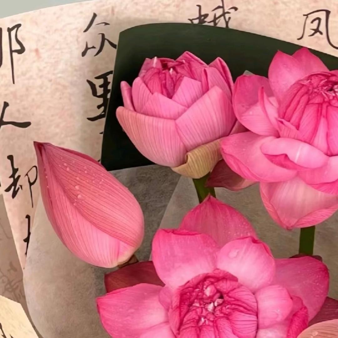 好运常伴