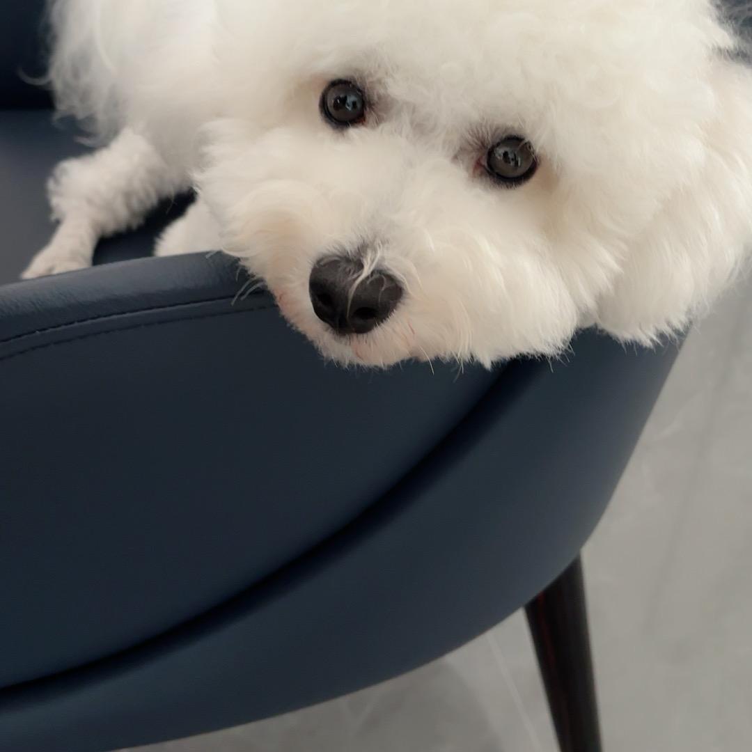 @大漂亮全群