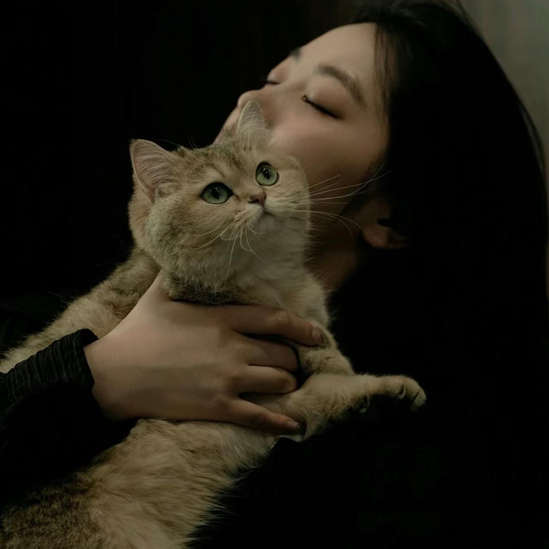 变美发型