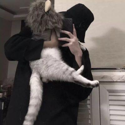 初懿宁网络科技-小杰