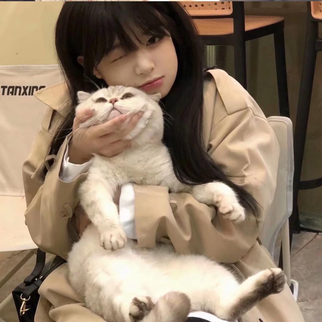 小月亮🌙🐰✨